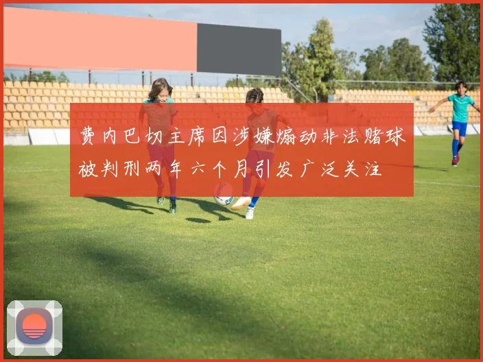 费内巴切主席因涉嫌煽动非法赌球被判刑两年六个月引发广泛关注