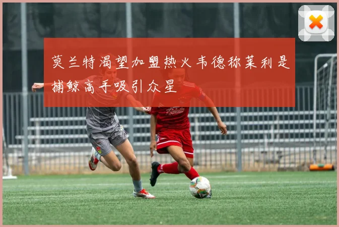 莫兰特渴望加盟热火韦德称莱利是捕鲸高手吸引众星