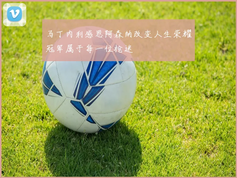 马丁内利感恩阿森纳改变人生荣耀冠军属于每一位枪迷