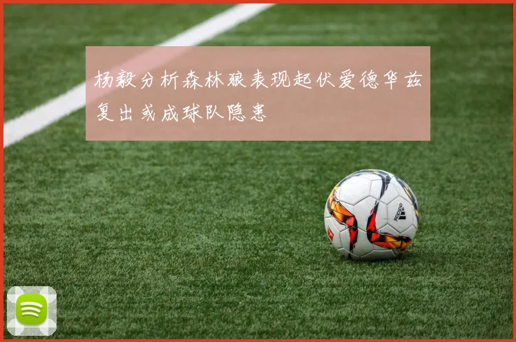 杨毅分析森林狼表现起伏爱德华兹复出或成球队隐患